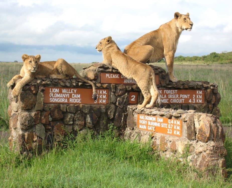 Nairobi